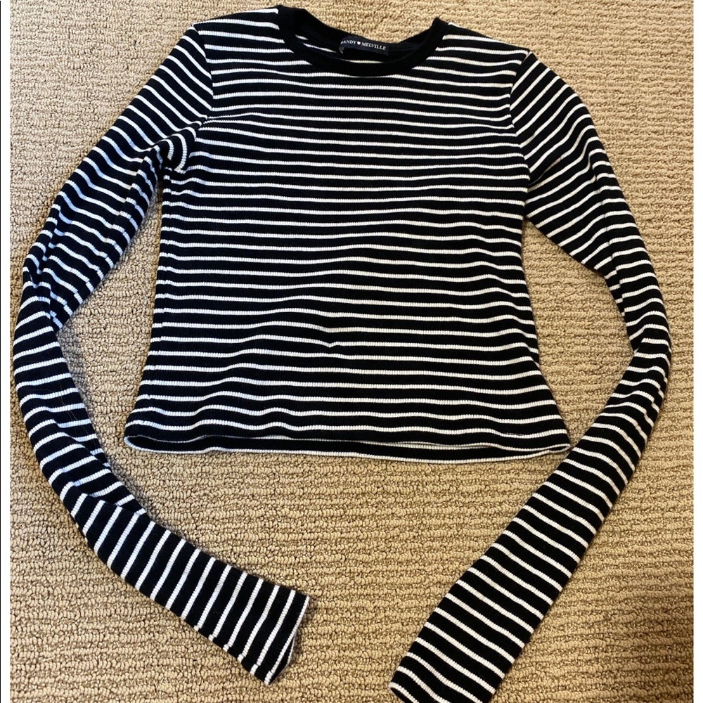 Brandy Melville long sleeve crop too